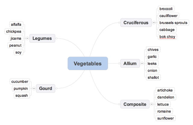 Mind Mapping Straight Mindmap Mind Mapping Straight Mindmap